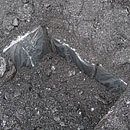 Фото: Пресс-служба Полоцкого пограничного отряда