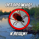 Осторожно! Клещи!