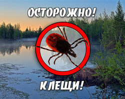 Осторожно! Клещи!