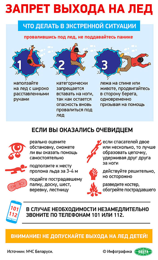ИНФОГРАФИКА БЕЛТА