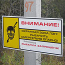 фото носит иллюстративный характер