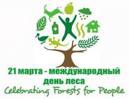 21 марта – Международный день леса