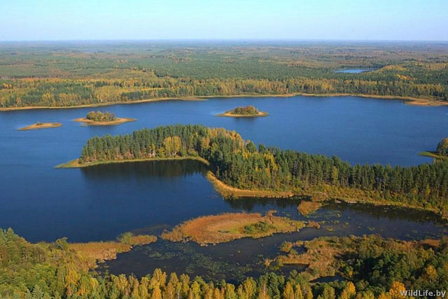фото носит иллюстративный характер