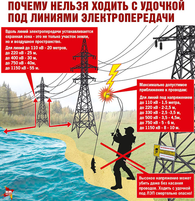 Инфографика: kp.by