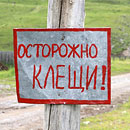 Фото из открытых источников. Используется в качестве иллюстрации