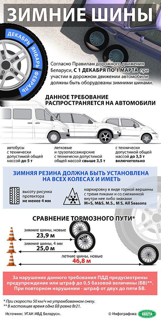 Инфографика БЕЛТА