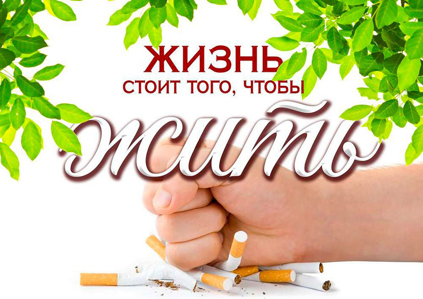 Жизнь стоит того, чтобы жить (Изображение из открытых источников)
