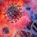 coronavirus_covid_19 [Изображение используется в качестве иллюстрации]