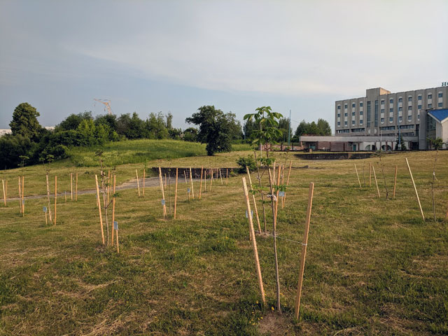 Фото: Новополоцкая городская и районная инспекция природных ресурсов и охраны окружающей среды